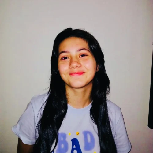 perfil