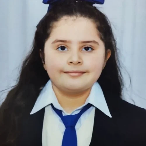 perfil