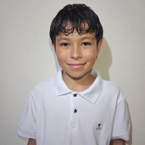 perfil