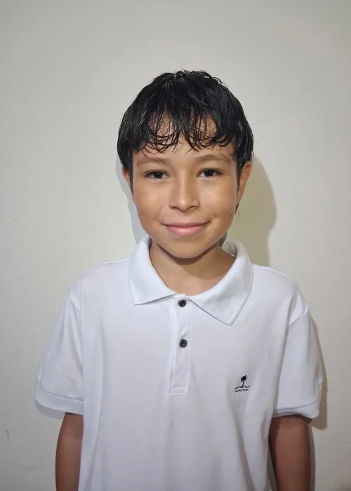 perfil