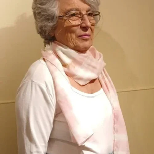 perfil