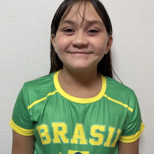 perfil