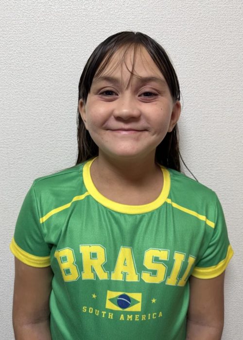 perfil